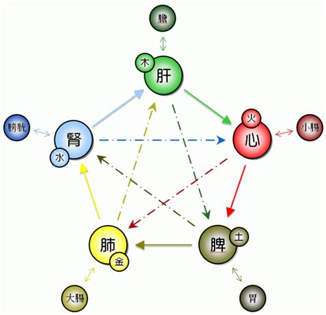 五行個性|五行人格